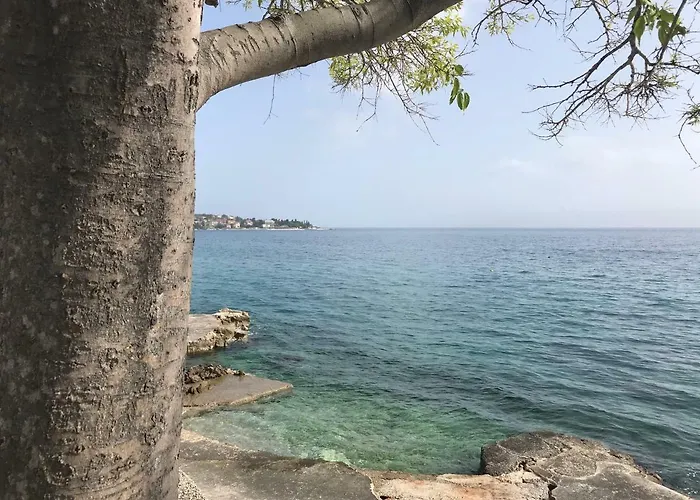 Apartman More شقة